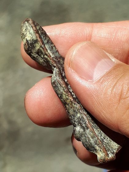 พระหูยาน พิมพ์ใหญ่ กรุวัดพระศรีรัตนมหาธาตุ อ.เมือง จ.ลพบุรี เนื้อตะกั่ว สนิมแดง ขึ้นคราบไข ขนาดสูงจากฐานถึงยอดสุดประมาณ 5.5 ซม มีอายุกว่า 8 รูปที่ 4