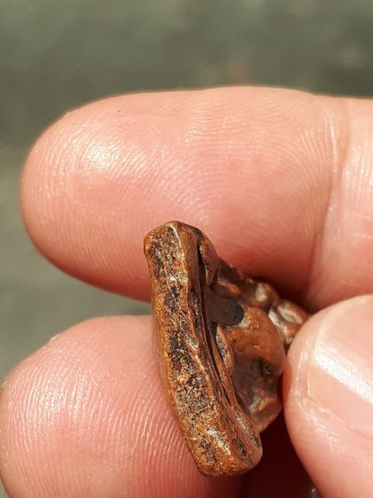 พระผงสุพรรณ พิมพ์หน้าแก่ เนื้อดินเผา กรุวัดมหาธาตุ สุพรรณบุรี รุ่นแรก หลังลายนิ้วมือ ผิวมัน แห้งเหี่ยว องค์นี้เป็นพระหนา ผิวมัน เงา เดิมๆ เก รูปที่ 6