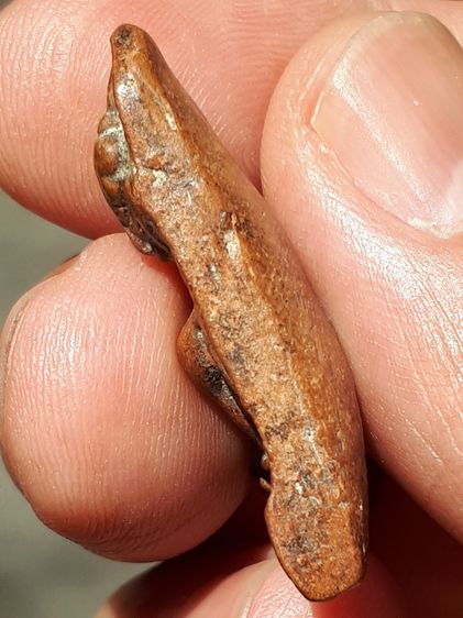 พระผงสุพรรณ พิมพ์หน้าแก่ เนื้อดินเผา กรุวัดมหาธาตุ สุพรรณบุรี รุ่นแรก หลังลายนิ้วมือ ผิวมัน แห้งเหี่ยว องค์นี้เป็นพระหนา ผิวมัน เงา เดิมๆ เก รูปที่ 4