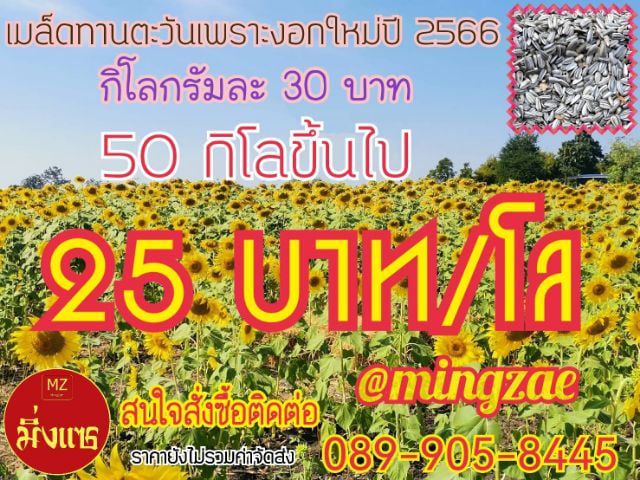 เมล็ดทานตะวันคละขนาด ปี 2568 เพาะต้นอ่อนและอาหารสำหรับเลี้ยงนก, เมล็ดกระเจี๊ยบแดง เพาะต้นอ่อนและปลูกเอาดอก ถั่วเขียว และเมล็ดงาเกษตร งาดำ รูปที่ 3