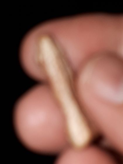 พระผงสุพรรณ เนื้อดินเผา พิมพ์หน้าแก่ กรุวัดมหาธาตุ สุพรรณบุรี รุ่นแรก หลังลายนิ้วมือ ผิวมัน แห้งเหี่ยว องค์นี้เป็นพระหนา ผิวมัน เงา เดิมๆ เก รูปที่ 4