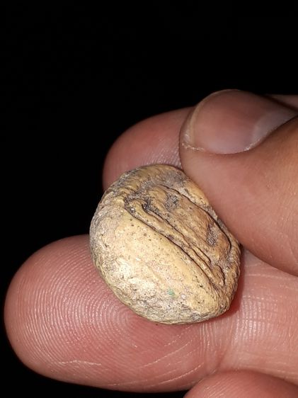 พระผงวัดรังษีฯ พิมพ์เล็ก เข่าบ่วง เนื้อผง มีมวลสาร สภาพเดิมๆ มีคราบธรรมชาติความเก่า ไม่หักไม่ซ่อม เก่าเป็น 100 ปี แท้ หายาก       พระผงวัดรั รูปที่ 5