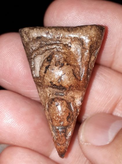 พระนางพญา วัดพระศรีรัตนมหาธาตุ พิษณุโลก พิมพ์อกนูนใหญ่ หลังลายนิ้งมือ เนื้อดินเผา สีออกน้ำตาลเข้ม อมดำ มวลสารครบ จัด ละเอียด มีเม็ดกรวดทราย รูปที่ 7