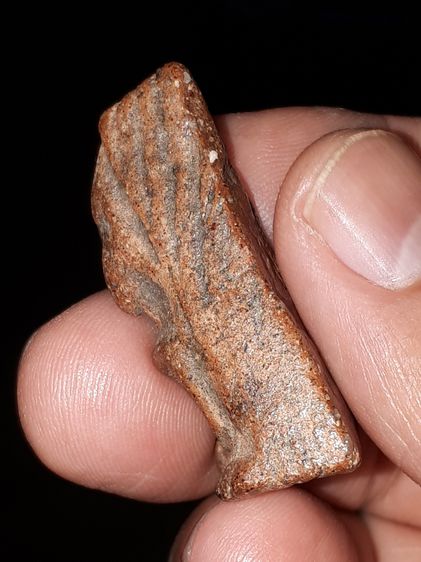 พระนางพญา พิมพ์เข่าโค้ง วัดพระศรีรัตนมหาธาตุ พิษณุโลก หลังลายนิ้งมือ เนื้อดินเผา สีออกน้ำตาลเข้ม อมดำ มวลสารครบ จัด ละเอียด มีเม็ดกรวดทราย อ รูปที่ 3