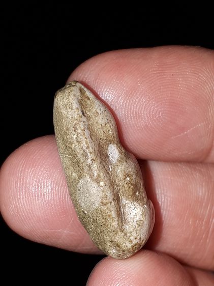 พระกรุ วัดพลับ พิมพ์สมาธิ เนื้อผง เนื้อออกขาวอมทา เนื้อแห้ง แตกลาน เป็นธรรมชาติ สวย สมบูรณ์ องค์นี้สวย แท้ดูง่าย เนื้อจัดมาก มีคราบเก่า แท้ รูปที่ 6