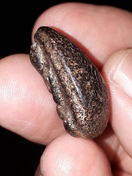 พระปิดตา หลังอูม หลวงปู่ไข่ วัดเชิงเลน กทม.รุ่นแรก เนื้อผงคลุกรัก ผิวมัน แห้งเหี่ยว องค์นี้เป็นพระหนา ผิวมัน เงา เดิมๆ เก่า แท้ รูปทรงสวยงาม รูปที่ 4