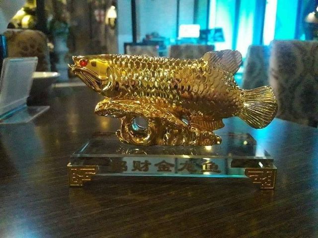 ปลามังกรทอง
