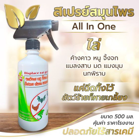 รับผลิตสินค้า OEM ผงไล่งู สเปรย์ออแกนิคไล่แมลง สมุนไพรไล่นก หนูจิ้งจก สมุนไพรกำจัดตัวเรือด  ดินเบาไล่แมลงในฟร์าม ไพรีทรัมน้ำมัน ผงแก้ท่อตัน รูปที่ 13