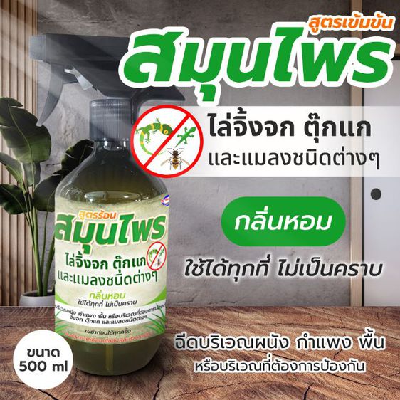 รับผลิตสินค้า OEM ผงไล่งู สเปรย์ออแกนิคไล่แมลง สมุนไพรไล่นก หนูจิ้งจก สมุนไพรกำจัดตัวเรือด  ดินเบาไล่แมลงในฟร์าม ไพรีทรัมน้ำมัน ผงแก้ท่อตัน รูปที่ 10