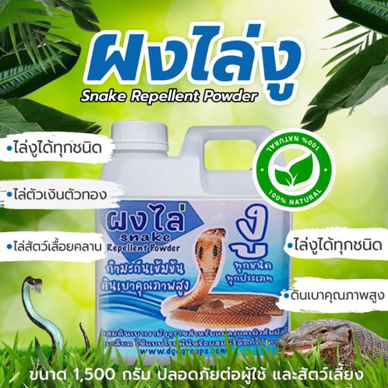 รับผลิตสินค้า OEM ผงไล่งู สเปรย์ออแกนิคไล่แมลง สมุนไพรไล่นก หนูจิ้งจก สมุนไพรกำจัดตัวเรือด  ดินเบาไล่แมลงในฟร์าม ไพรีทรัมน้ำมัน ผงแก้ท่อตัน รูปที่ 5