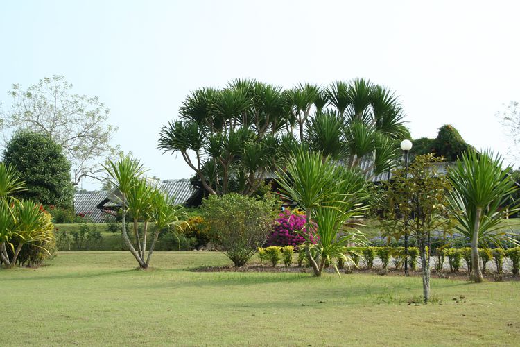 ไม่ใช่ ขายที่ดินพร้อมบ้านอยู่อาศัย รูปที่ 2