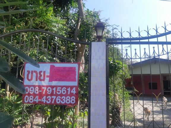 บ้านเดี่ยวระยองบ้านค่าย200ตรวHome For Sale 4800000THB in Ban Khai kaidee Property