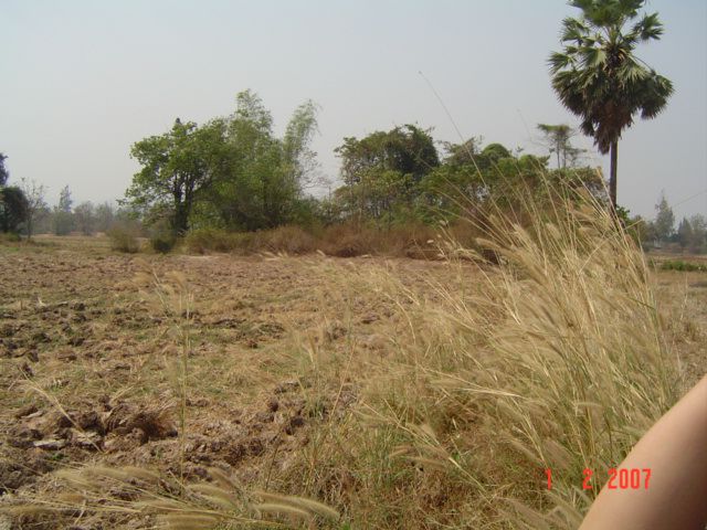 ขายที่ดิน ถนนบ้านทับคาง  ต.ทับคาง อ.เขาย้อย  จ.เพชรบุรี รูปที่ 4