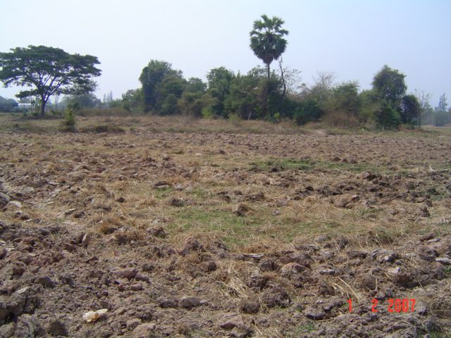 ขายที่ดิน ถนนบ้านทับคาง  ต.ทับคาง อ.เขาย้อย  จ.เพชรบุรี รูปที่ 3