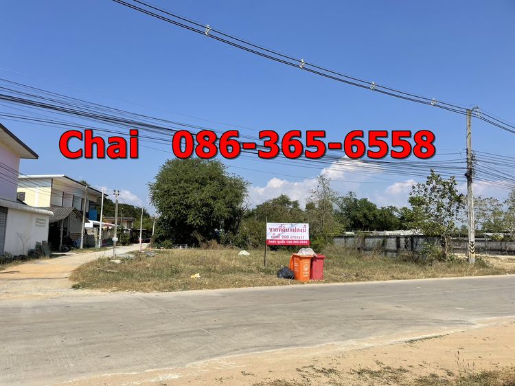 ขายที่ดินเปล่าติดถนน2ด้านถนนซอยหลักและซอยรองทำเลดีขายวาละ42,000บาท รูปที่ 2