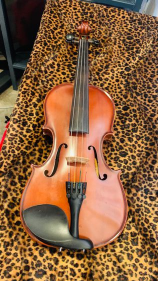 violin Hofner  3 4