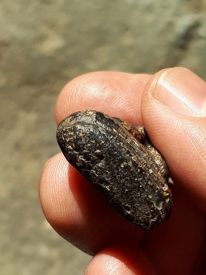 พระปิดตา พิมพ์ใหญ่ หลังแบบ รุ่นแรก หลวงพ่อแก้ว วัดเคลือวัลย์ เนื้อผงคลุกรักจุ่มรัก ผิวเดิม สภาพแห้งเก่า รักหลุดร่อน ไม่มีหักซ่อม แท้ เก่า อย รูปที่ 8