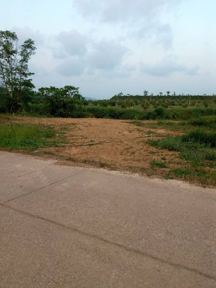 ขายที่ดิน 4 ไร่ 3 งาน 79 ตร.ว. ซอยเขาขวางใกล้วัดมุจลิน ห่างจากถนนสาย 41 ประมาณ 2 กิโลเมตร รูปที่ 3