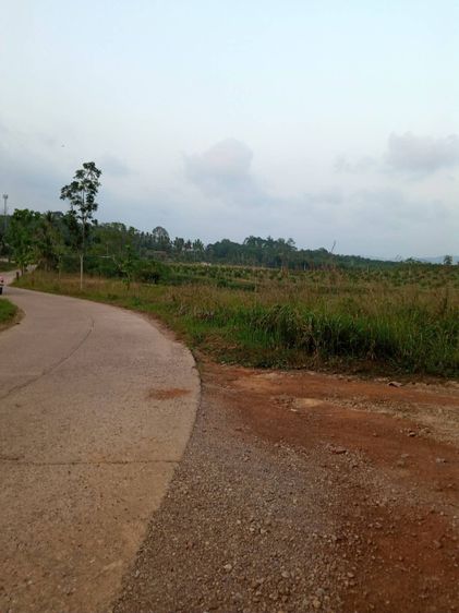 ขายที่ดิน 4 ไร่ 3 งาน 79 ตร.ว. ซอยเขาขวางใกล้วัดมุจลิน ห่างจากถนนสาย 41 ประมาณ 2 กิโลเมตร