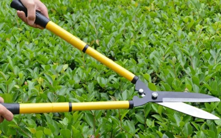 กรรไกรตัดแต่งพุ่มไม้ ด้ามยืดยาวได้ รูปที่ 9