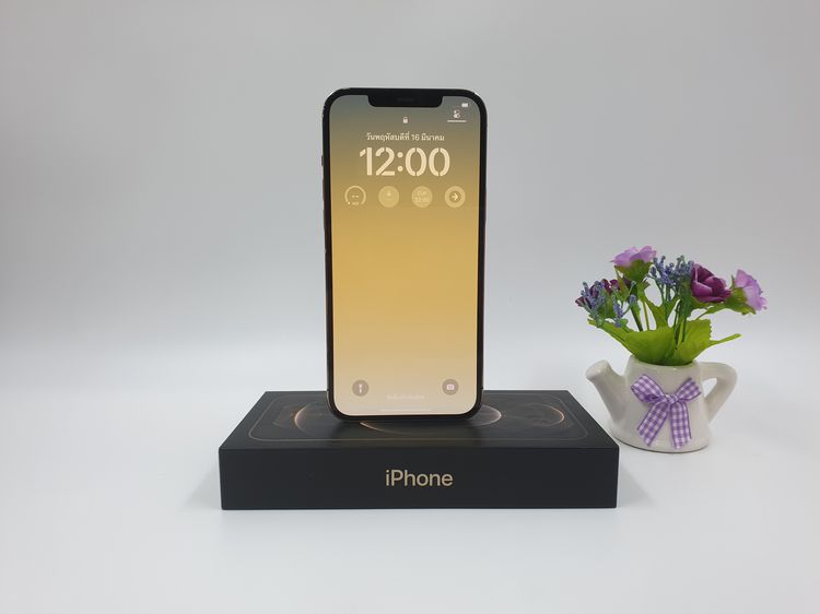256 GB 🎯 iPhone 12 Pro Max 256GB Gold 🎯 💛🍀 12 PM สภาพสวย ความจุเยอะ  🍀💛