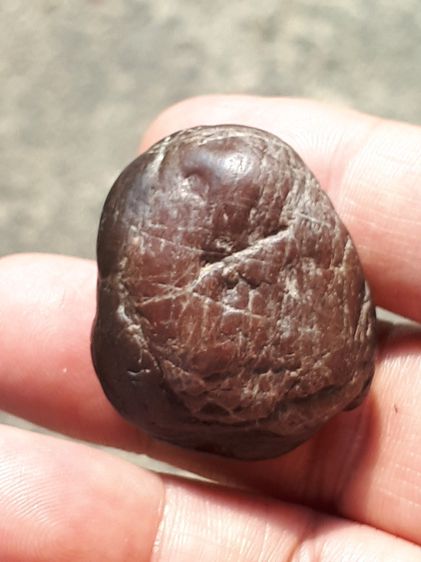 ตับเหล็ก หรือ ตับทองแดง ขนาดกำลังสวย ผิวเนียน สีดำอมน้ำตาล รูปทรงค่อนข้างกลมแบน สวยงาม มีน้ำหนัก ของแท้ต้อง รูปที่ 2