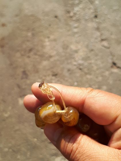 ข้อมือพลอยตาแมว หรือ พลอยไพฑูรย์ จำนวน 14 เม็ด ขนาดเม็ดใหญ่ กลมมน โปร่งใส สีสวย มีความทนทานของเนื้อพลอยนั้นยอดเยี่ยม นิยม คุณภาพดี เดิมๆ เป็ รูปที่ 7