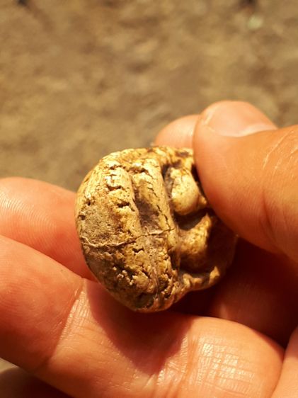 พระปิดตา หลังอูม ขนาดใหญ่ ยุคต้นๆ เนื้อผง มีมวลสาร เนื้อขาว เรียบ เนียน มีคราบไข เนื้อพระ แตก ราน แห้ง จัดจ้าน สวย เก่า แท้ ไม่รู้ที่ พุทธคุ รูปที่ 5