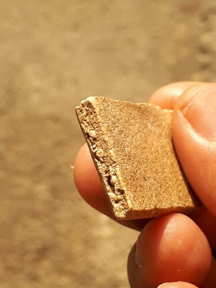 พระสมเด็จ กรุวัดกลางคลองข่อย ปี 2500 พิมพ์ใหญ่ หลังสังขยา เนื้อผงพุทธคุณ มวลสารครบ มีคราบกรุ แห้งๆ สภาพสวย สมบูรณ์ แท้ เก่า เดิม หายาก พระสม รูปที่ 6