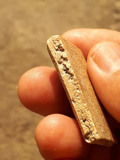 พระสมเด็จ กรุวัดกลางคลองข่อย ปี 2500 พิมพ์ใหญ่ หลังสังขยา เนื้อผงพุทธคุณ มวลสารครบ มีคราบกรุ แห้งๆ สภาพสวย สมบูรณ์ แท้ เก่า เดิม หายาก พระสม รูปที่ 4