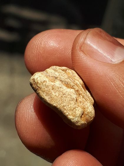 พระผง ขุดสระใหญ่ รุ่นแรก หลวงปู่เผือก วัดกิ่งแก้ว ปี2460 เนื้อผงพุทธคุณ พระเนื้อผงยุคเก่าอันดับต้นๆ บางองค์เนื้อเหมือนกับพระสมเด็จวัดระฆังมา รูปที่ 5