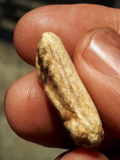 พระผง ขุดสระใหญ่ รุ่นแรก หลวงปู่เผือก วัดกิ่งแก้ว ปี2460 เนื้อผงพุทธคุณ พระเนื้อผงยุคเก่าอันดับต้นๆ บางองค์เนื้อเหมือนกับพระสมเด็จวัดระฆังมา รูปที่ 3