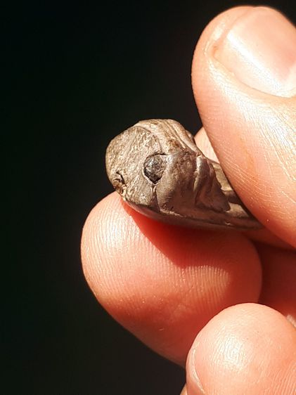 พระรอด พิมพ์ใหญ่ หลังอูม เนื้อดิน สีเขียว มัน แกร่ง เรียบ เนียนมือ สวยคม เก็บเก่า สภาพดีมากทั้งด้านหน้าและด้านหลัง ผ่านการใช้งานมามาก สภาพสว รูปที่ 6