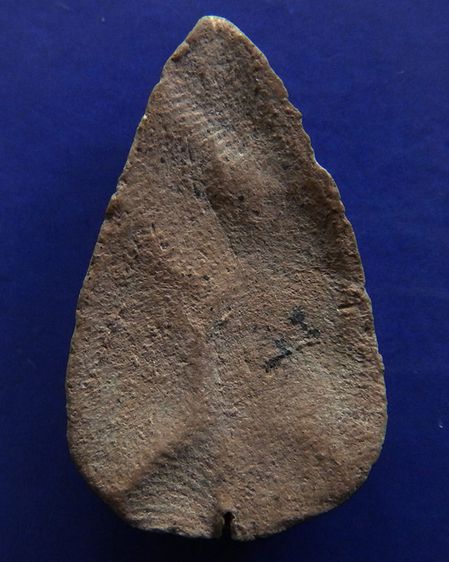 พระกลีบบัว กรุวัดลิงขบ สภาพสวยเดิมๆ รูปที่ 6