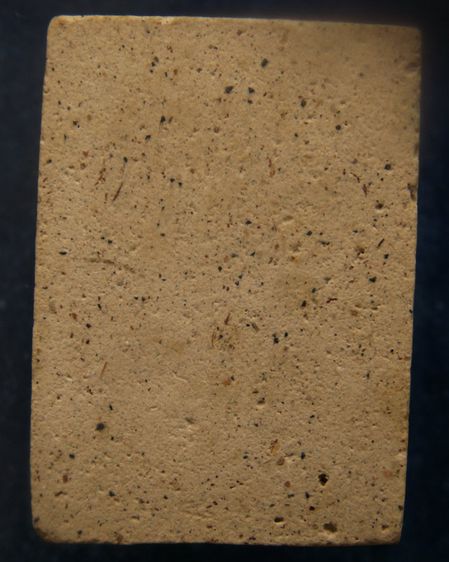 พระปรกโพธิ์ประภามณฑล พิมพ์เล็ก หลวงปู่ทิม วัดละหารไร่ ประธานปรกปลุกเสก ออกวัดไผ่ล้อม จ.ระยอง รูปที่ 8