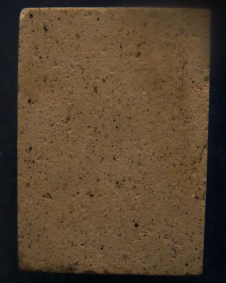 พระปรกโพธิ์ประภามณฑล พิมพ์เล็ก หลวงปู่ทิม วัดละหารไร่ ประธานปรกปลุกเสก ออกวัดไผ่ล้อม จ.ระยอง รูปที่ 12