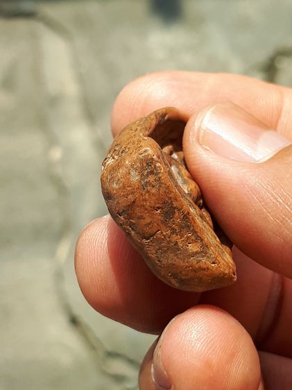 พระกำแพงซุ้มกอ พิมพ์ใหญ่มีลายกนก พระเนื้อดินเผา กรุทุ่งเศรษฐี กำแพงเพชร เนื้อจัดมากๆ เนื้อมีแร่ดอกมะขามสีแดงเข้ม เป็นแต้มๆ ปรากฏให้เห็นทั้งห รูปที่ 5