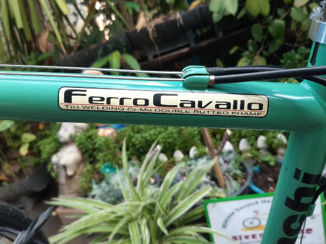 🎯Bianchi FerroCavallo🎯 รูปที่ 6