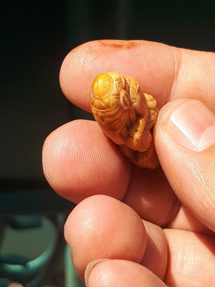 พระพิฆเนศ ปี 24xx ขนาด 4 ซม.กำลังสวย สีน้ำผึ้ง ฉ่ำ มีน้ำหนัก งานศิลปะ Hand Made โบราณ เก่า แกะสวย สมบูรณ์ แปลก แท้ หายาก พระพิฆเนศองค์นี้ มี รูปที่ 7