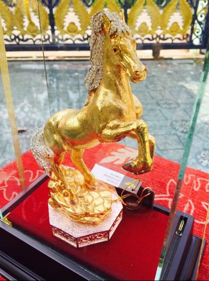 ม้าจักรพรรดิทองคำ รูปที่ 3