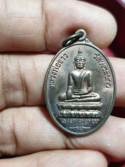 เหรียญหลวงพ่อขาว หลังหลวงปู่ทิม วัดพระขาว ปี 45

สวยแชมป์โลก รูปที่ 4