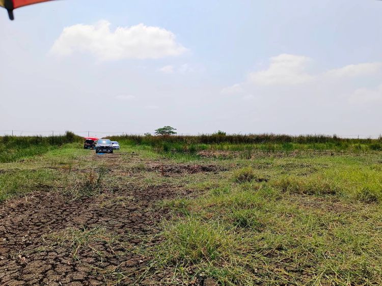 ไม่ใช่ ขายที่ดิน ถ.หลวงแพ่ง ใกล้Siam Premium Outlets เพียง3กม. (ซอยติดกับตลาดเทิดไท-สี่แยกลำต้อยติ่ง) รูปที่ 3