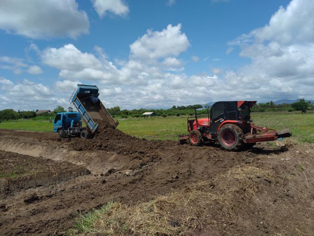 ดินดำ ดินปลูกดินจัดสวนร่วนซุย เชียงใหม่ 3 คิว รูปที่ 6