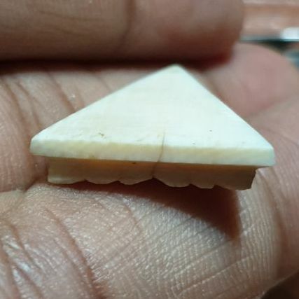 พระนางพญาแกะ ไม่ทราบวัดปีที่ออก สภาพสวยเก่า รูปที่ 3