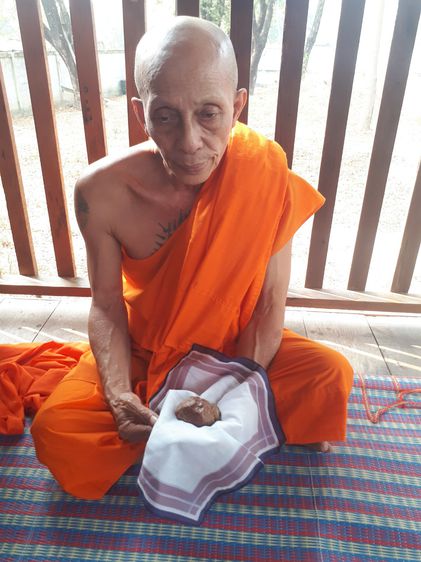 ตับเหล็ก หรือ ตับทองแดง ขนาดใหญ่ สีดำอมน้ำตาลอมแดง รูปทรงสมบูรณ์ สวยงาม แห้ง เหี่ยวย่น ผิวเดิมๆ มีน้ำหนัก ของแท้ต้องมีความเป็นธรรมชาติของตับ รูปที่ 9