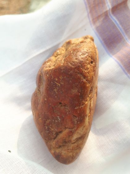 ตับเหล็ก หรือ ตับทองแดง ขนาดใหญ่ สีดำอมน้ำตาลอมแดง รูปทรงสมบูรณ์ สวยงาม แห้ง เหี่ยวย่น ผิวเดิมๆ มีน้ำหนัก ของแท้ต้องมีความเป็นธรรมชาติของตับ รูปที่ 6