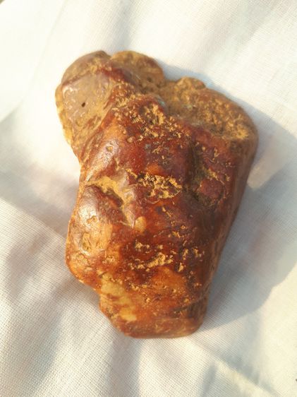 ตับเหล็ก หรือ ตับทองแดง ขนาดใหญ่ สีดำอมน้ำตาลอมแดง รูปทรงสมบูรณ์ สวยงาม แห้ง เหี่ยวย่น ผิวเดิมๆ มีน้ำหนัก ของแท้ต้องมีความเป็นธรรมชาติของตับ รูปที่ 8