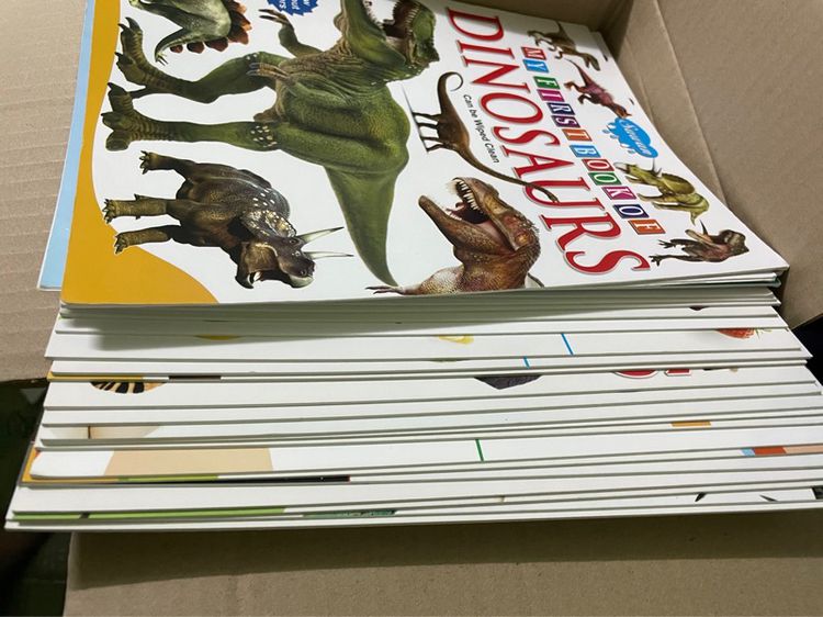 หนังสือเซ็ตภาษาอังกฤษ สำหรับเด็ก มี 3 เซ็ตครับ 1. logic Wisdom Star 2. Activity Book For Children  3. My First Book set  รูปที่ 9
