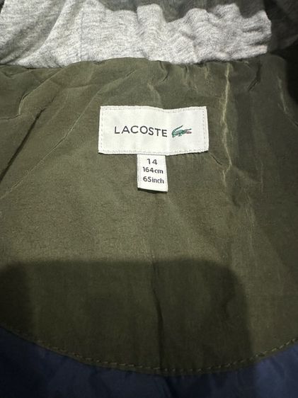 เสื้อหนาว Lacoste รูปที่ 3