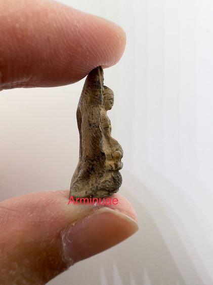 พระที่บ้านเก่าแก่แท้ๆ พระรอดลำพูน ไม่ทราบที่มาครับ ได้มาจากครูบาท่านนึงทางภาคเหนือครับ รูปที่ 3